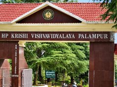 हिमाचल में वीसी नियुक्ति का मामला सुप्रीम कोर्ट पहुंचा, नई चयन प्रक्रिया पर भी संकट